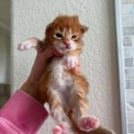 FB_IMG_17613257425670160