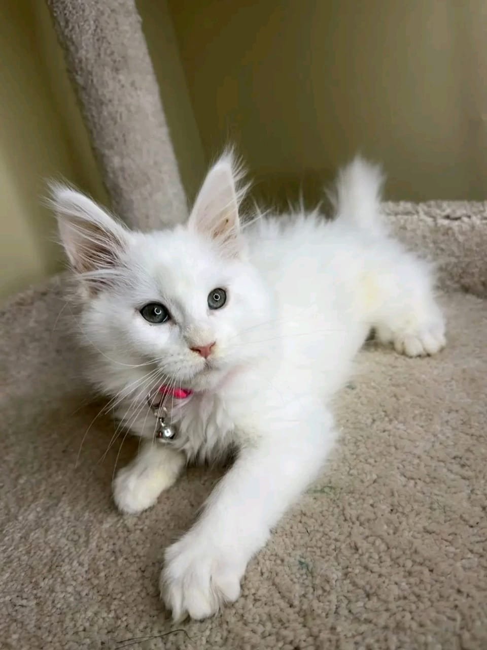 Luna