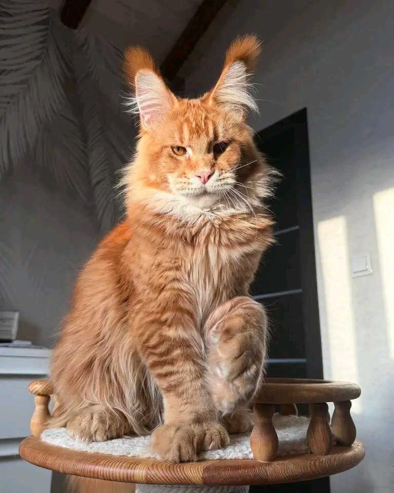 Rusty