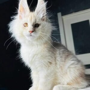 Sam