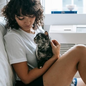 pexels-sam-lion-6001190